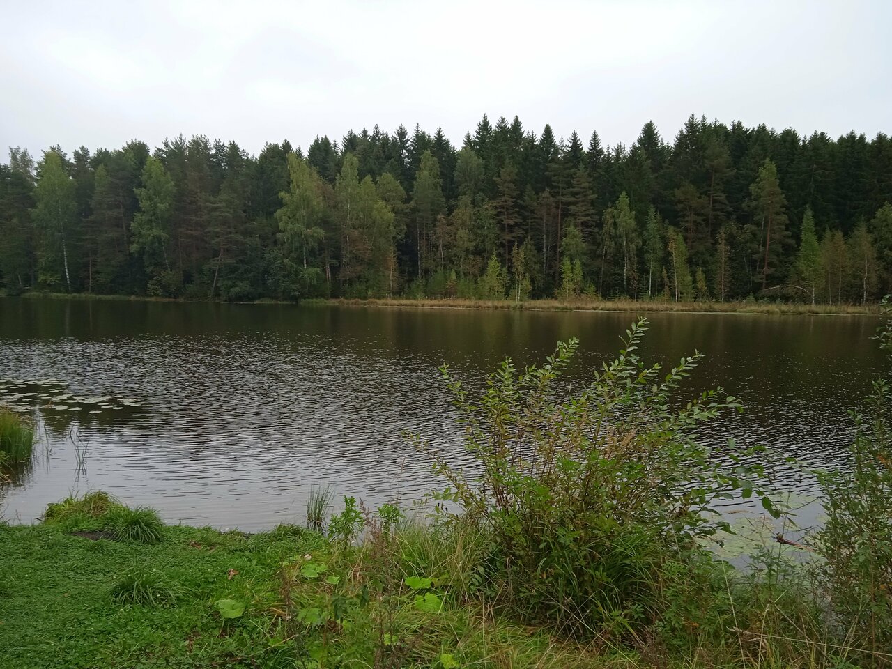 Гостиница Домик Охотника Токсово-191