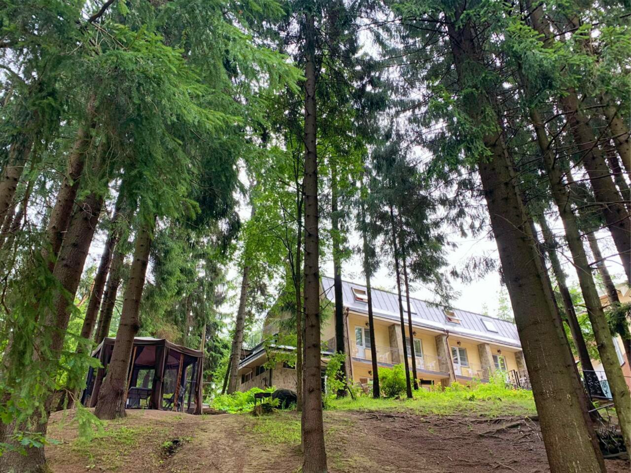 Гостиница Домик Охотника Токсово-248