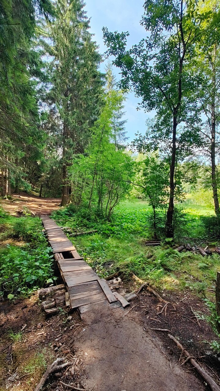 Гостиница Домик Охотника Токсово-149