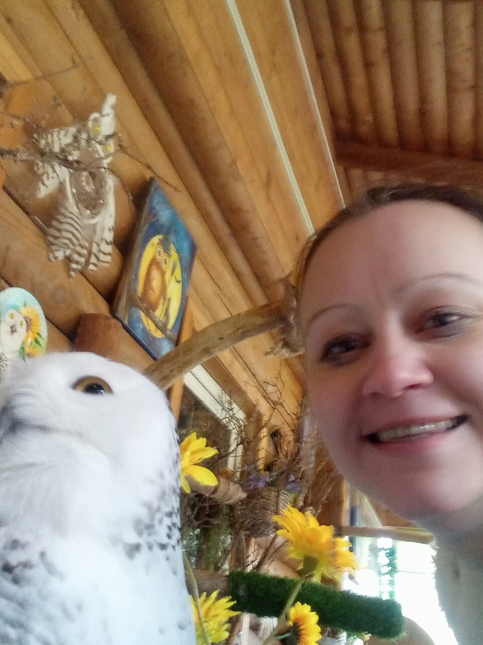 Гостиница Домик Охотника Токсово-183