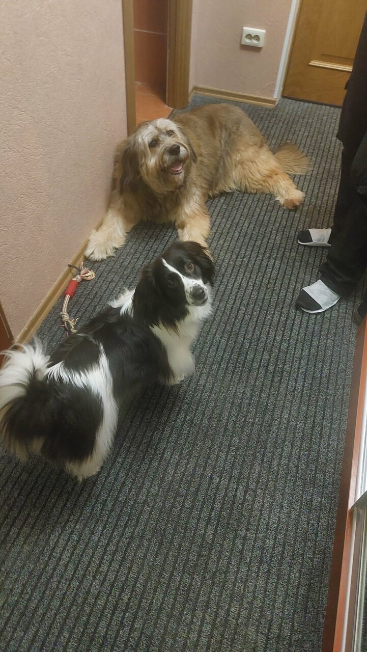 Гостиница Домик Охотника Токсово-113