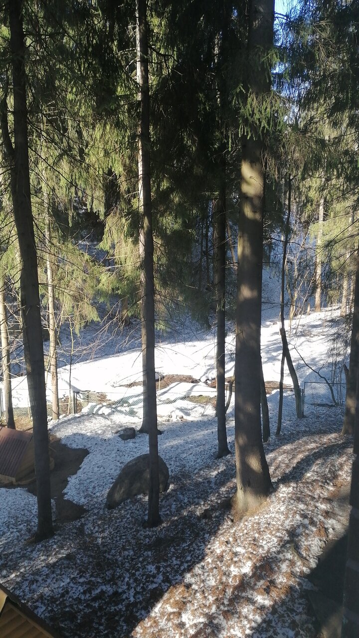 Гостиница Домик Охотника Токсово-70