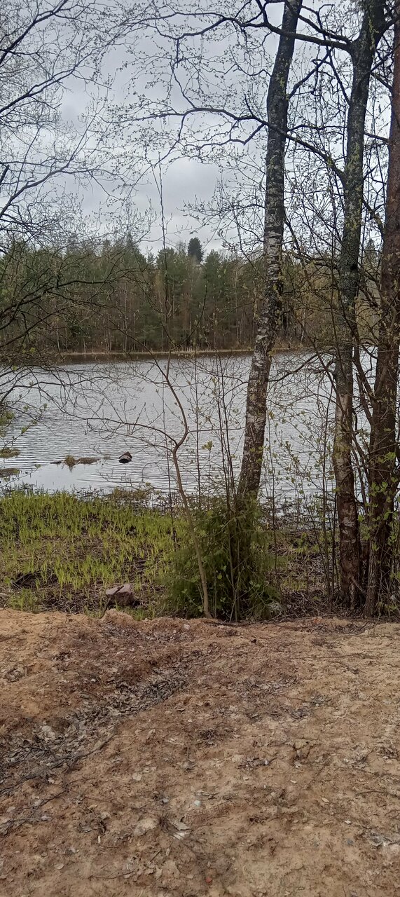 Гостиница Домик Охотника Токсово-215