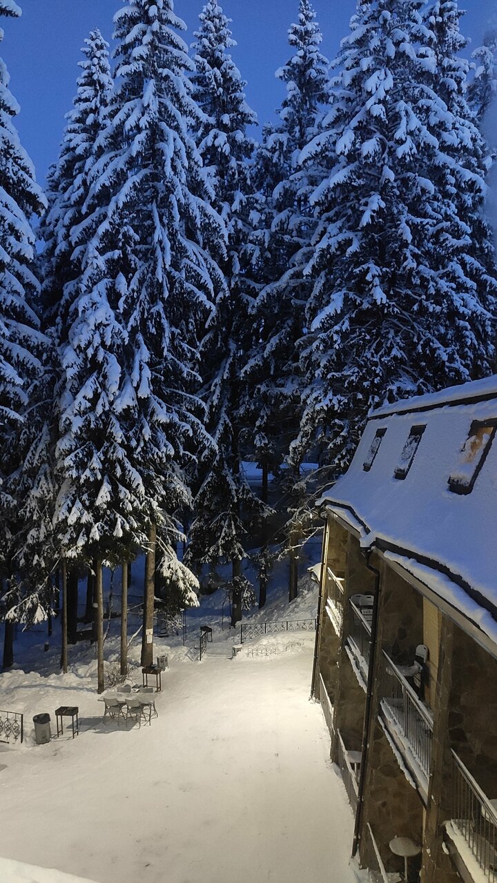 Гостиница Домик Охотника Токсово-100