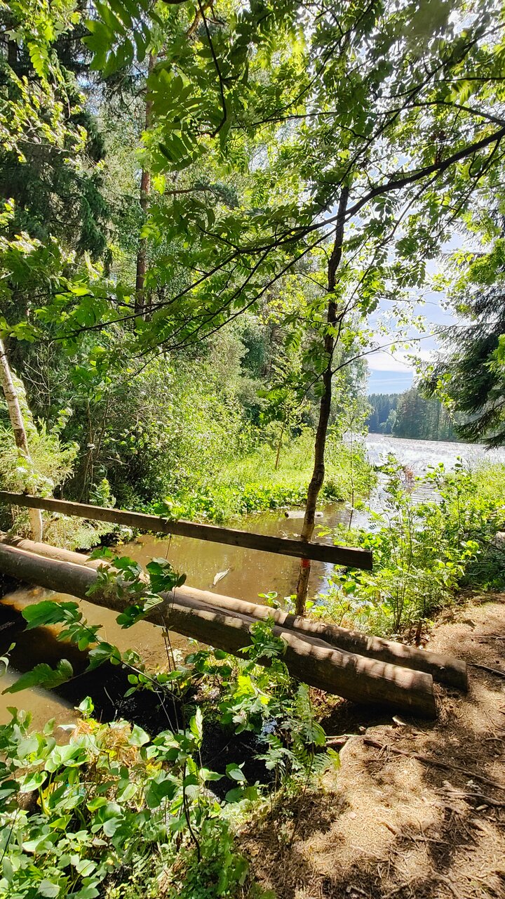 Гостиница Домик Охотника Токсово-140