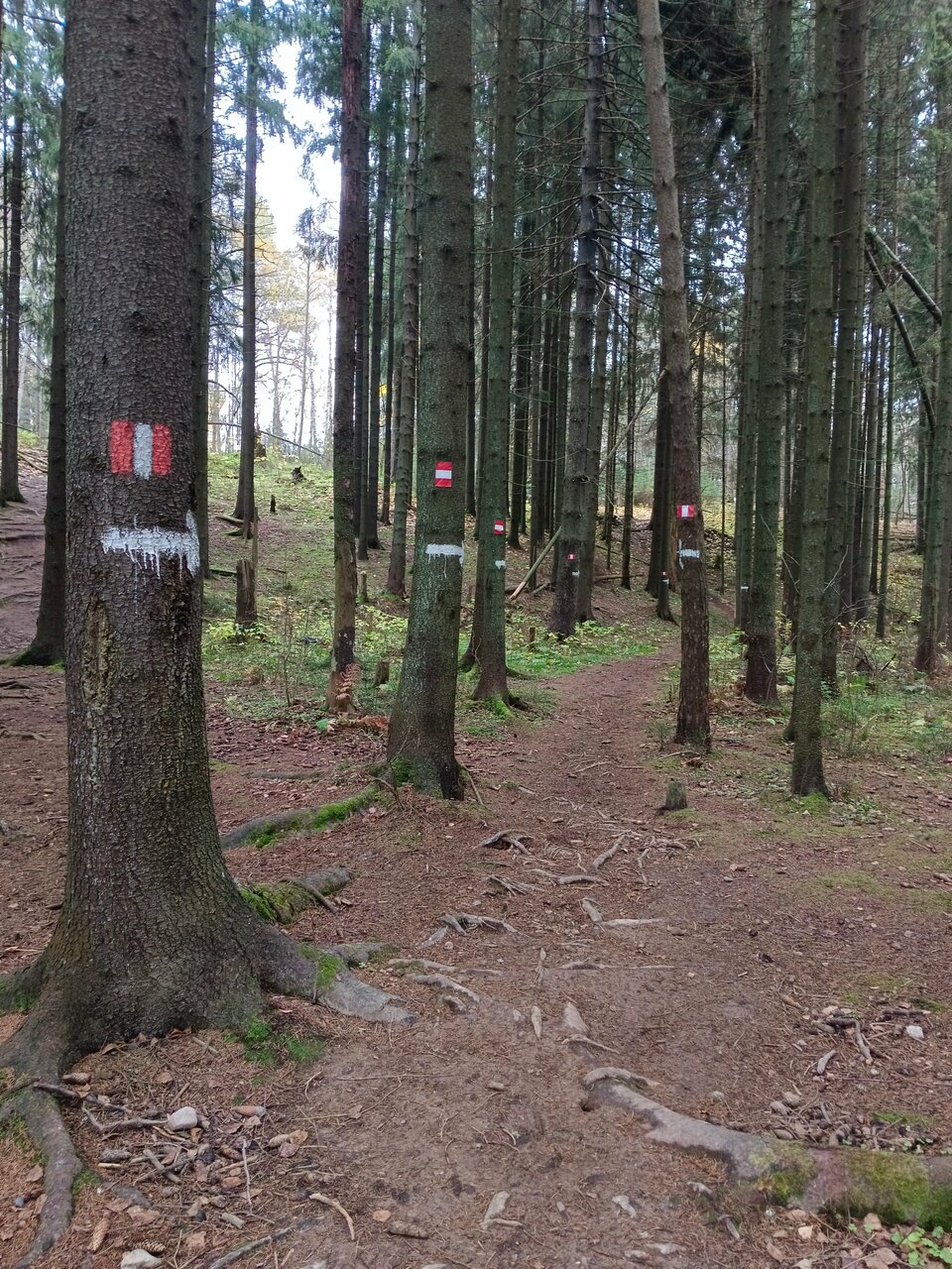 Гостиница Домик Охотника Токсово-187