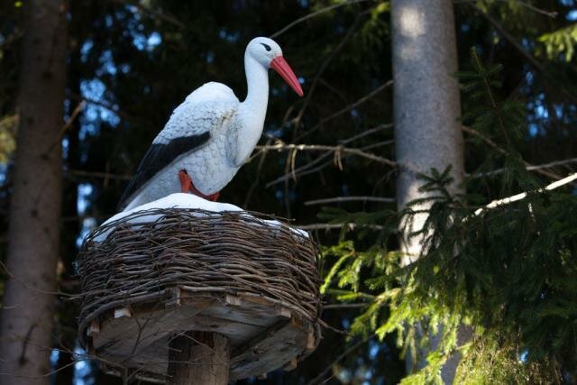 Гостиница Домик Охотника Токсово-120