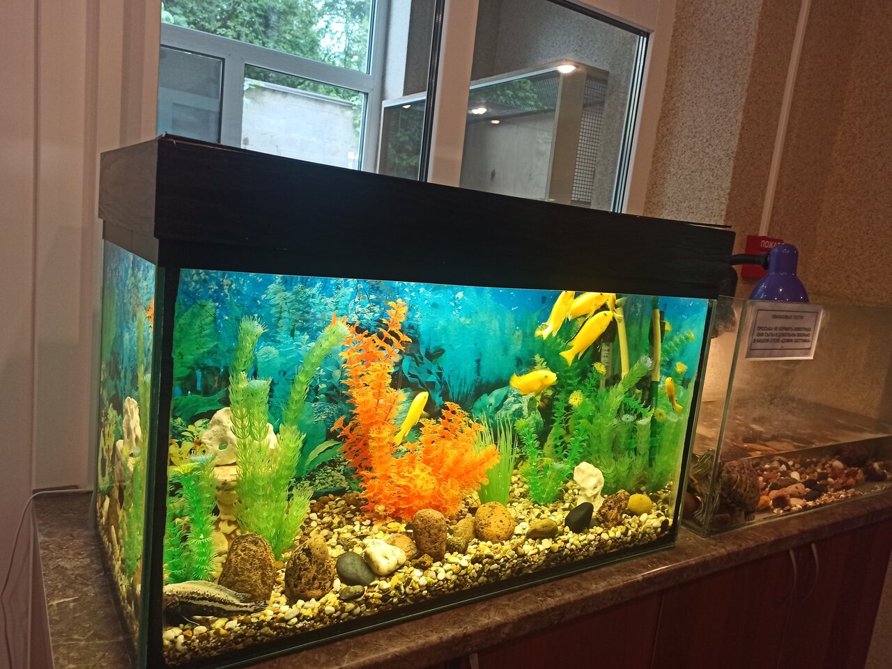 Гостиница Домик Охотника Токсово-44