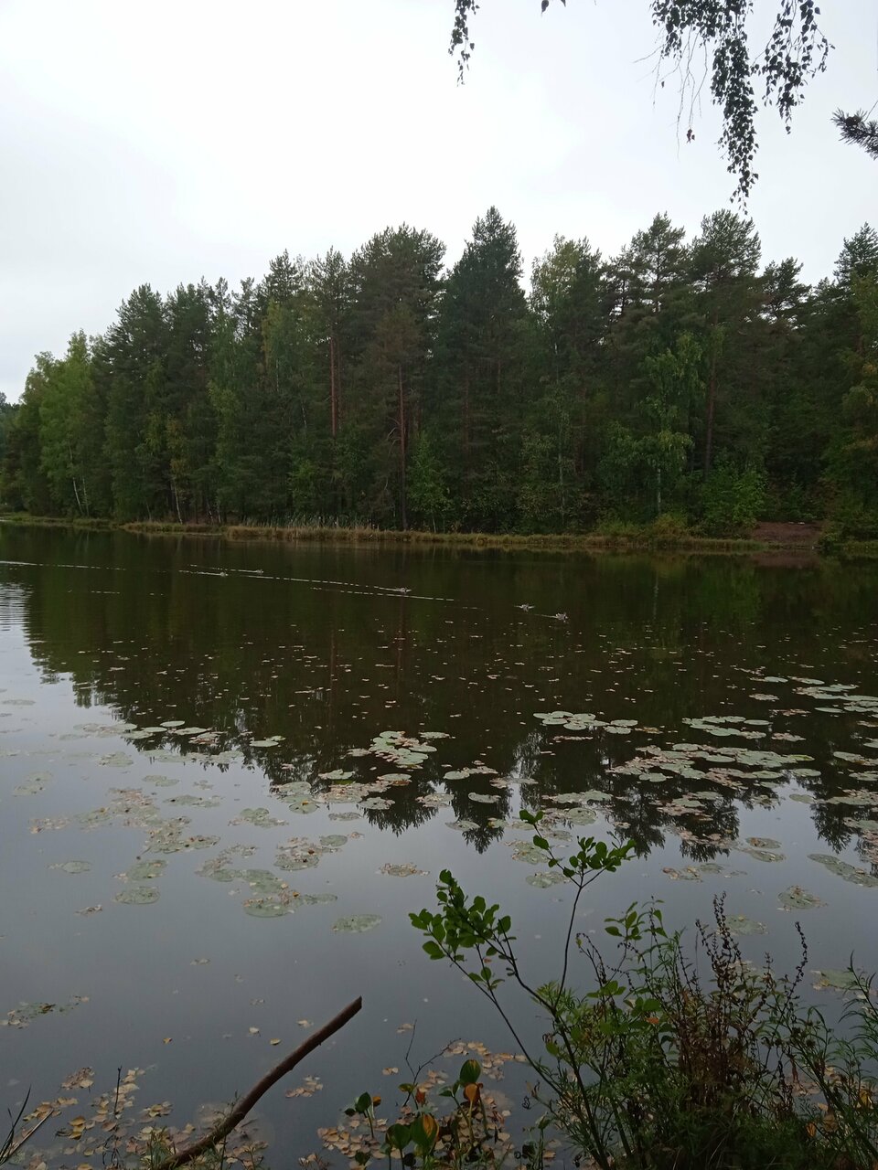 Гостиница Домик Охотника Токсово-164