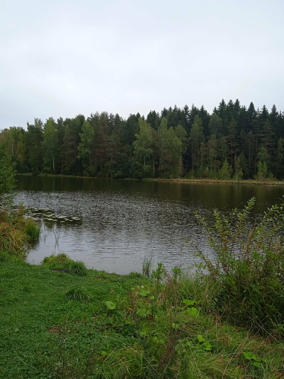 Гостиница Домик Охотника Токсово-87