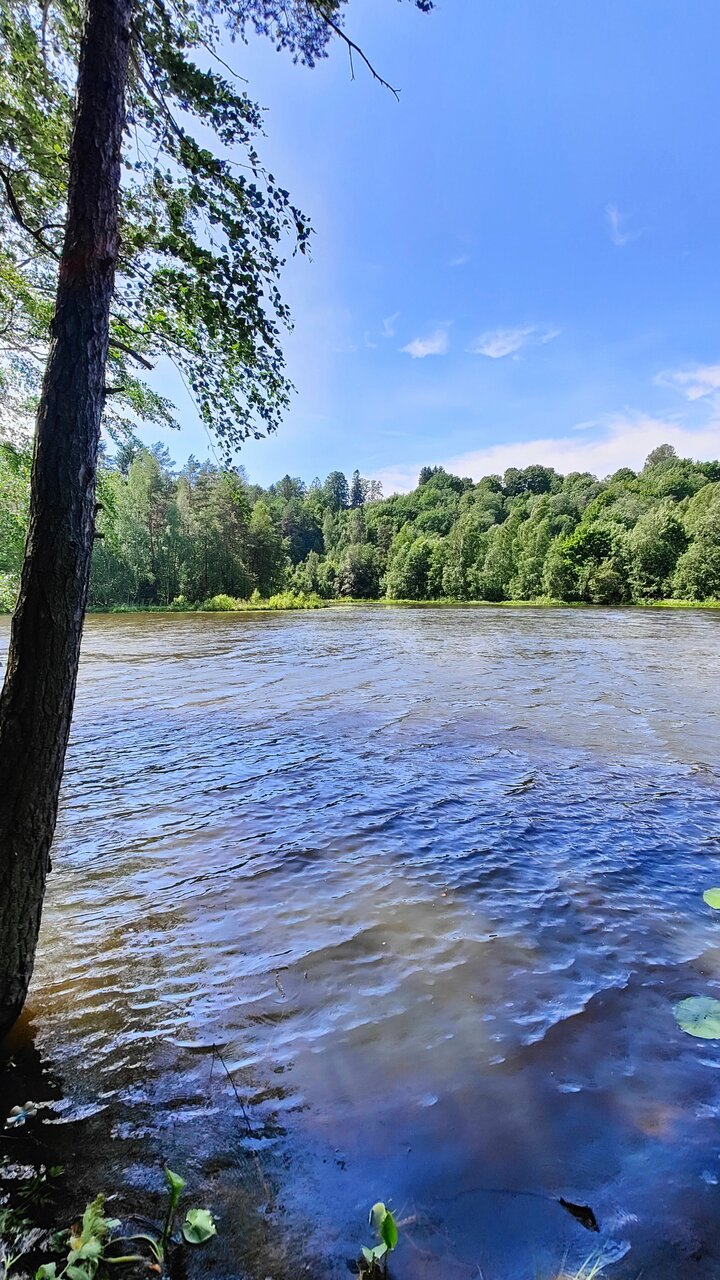 Гостиница Домик Охотника Токсово-116