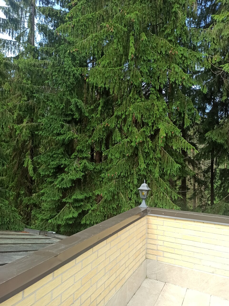 Гостиница Домик Охотника Токсово-41