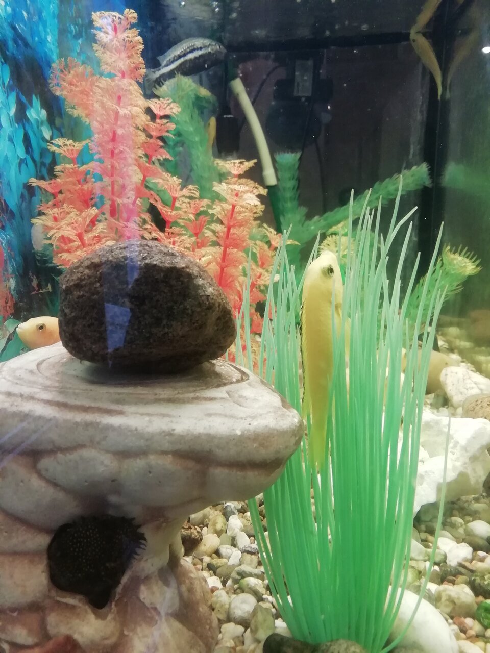 Гостиница Домик Охотника Токсово-69