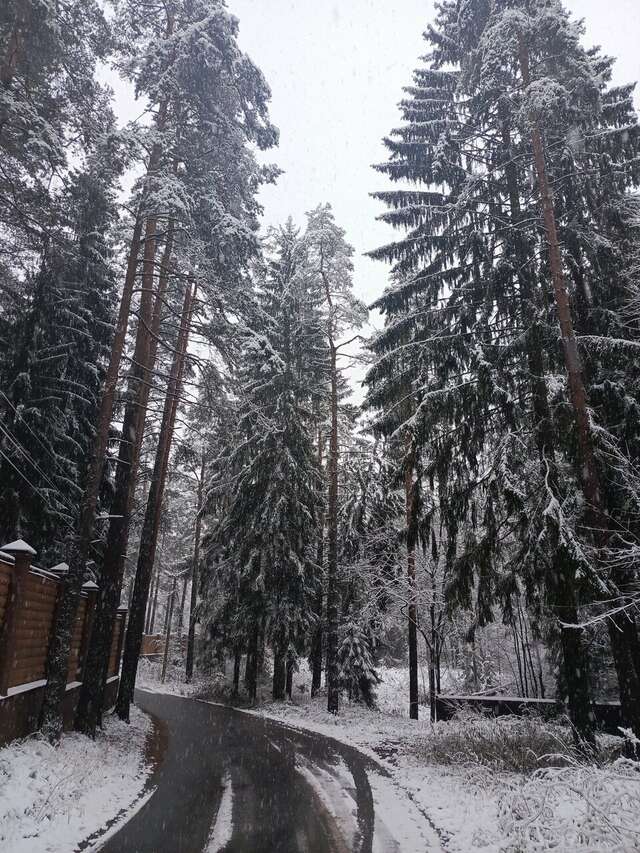 Гостиница Домик Охотника Токсово-129