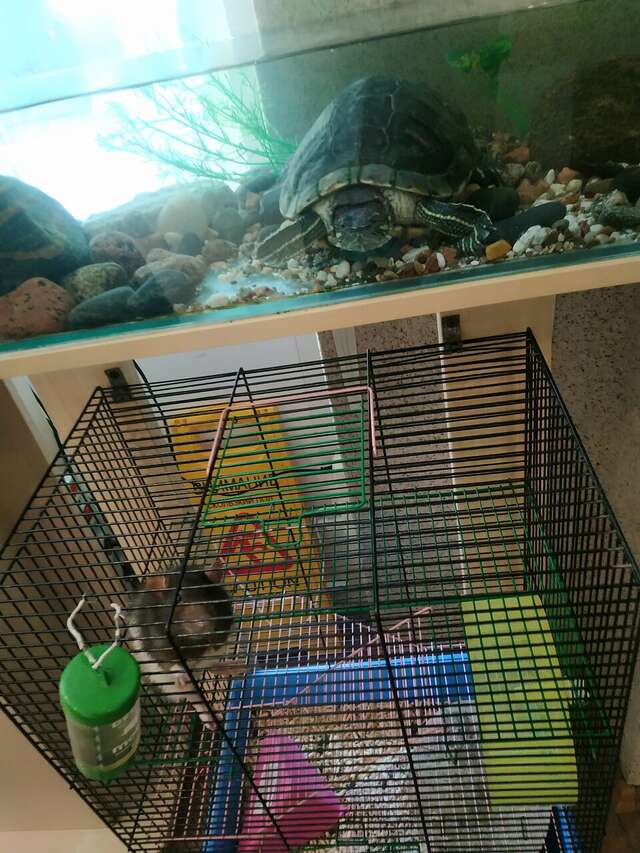 Гостиница Домик Охотника Токсово-81