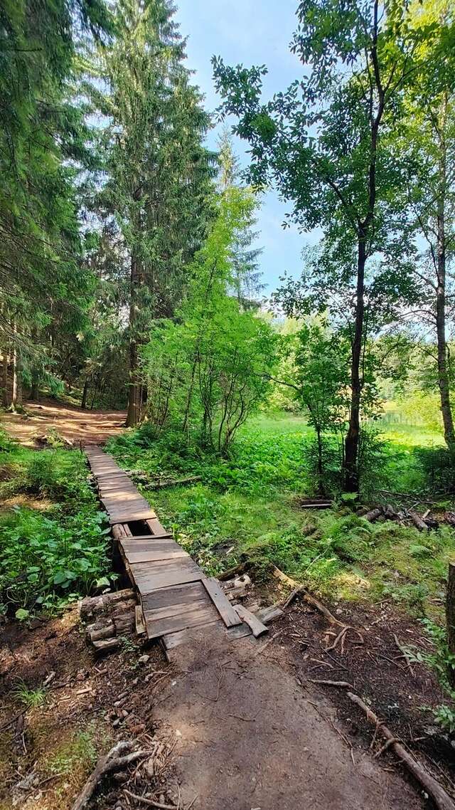 Гостиница Домик Охотника Токсово-148