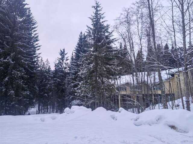 Гостиница Домик Охотника Токсово-153