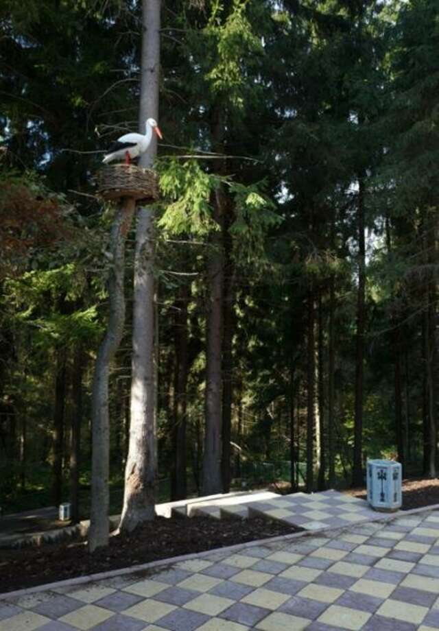 Гостиница Домик Охотника Токсово-170