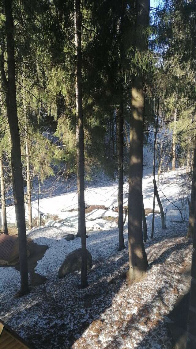 Гостиница Домик Охотника Токсово-69