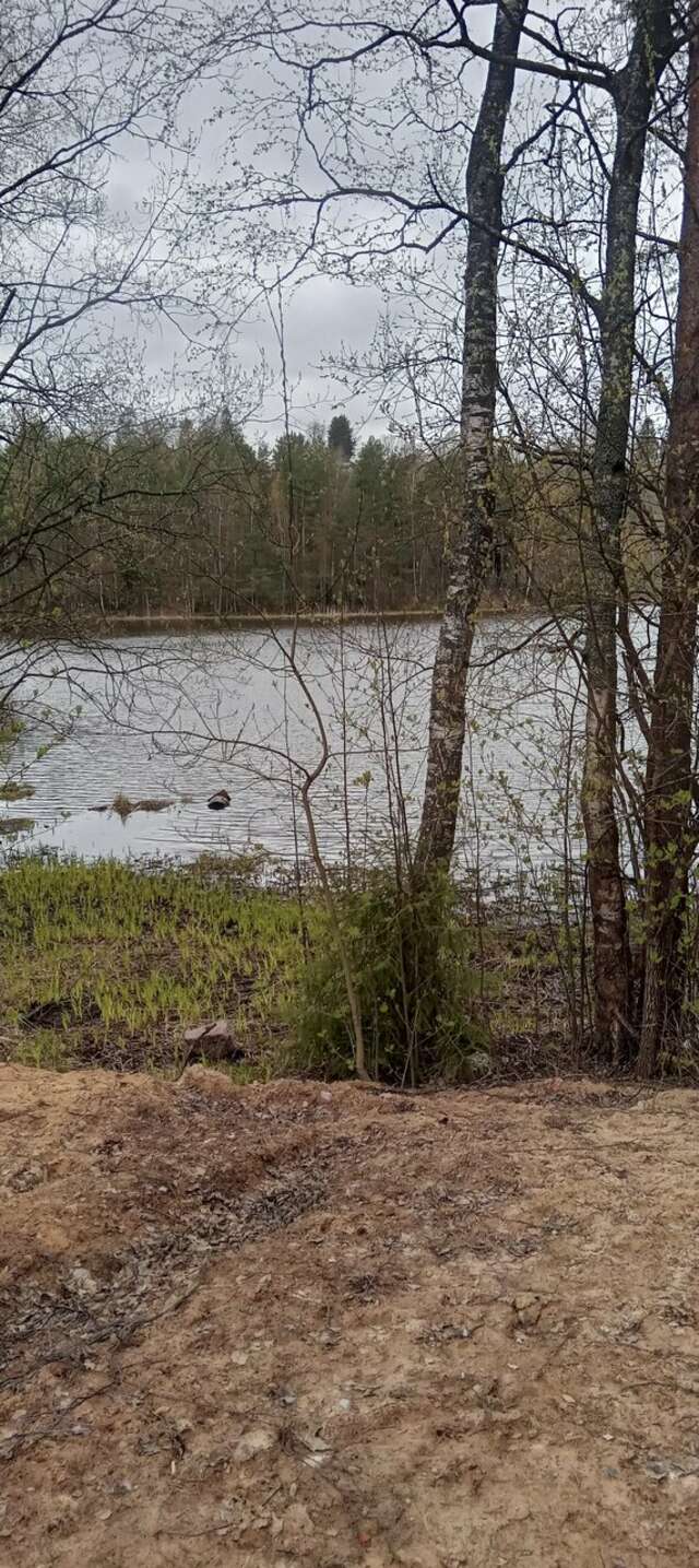 Гостиница Домик Охотника Токсово-214