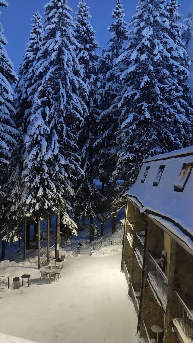 Гостиница Домик Охотника Токсово-99