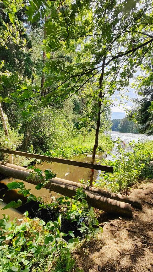 Гостиница Домик Охотника Токсово-139