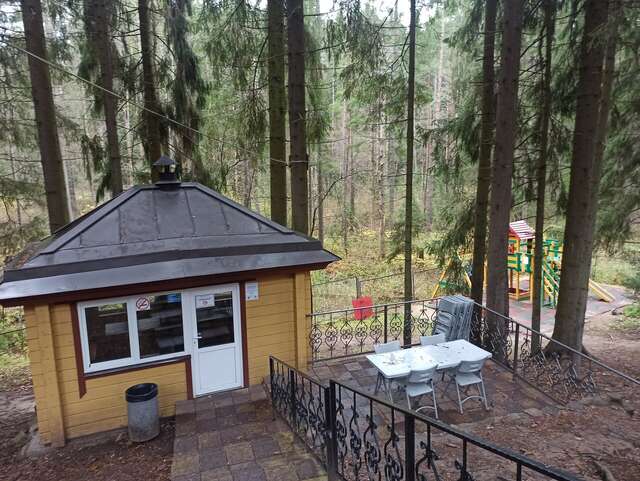 Гостиница Домик Охотника Токсово-116