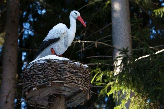 Гостиница Домик Охотника Токсово-119