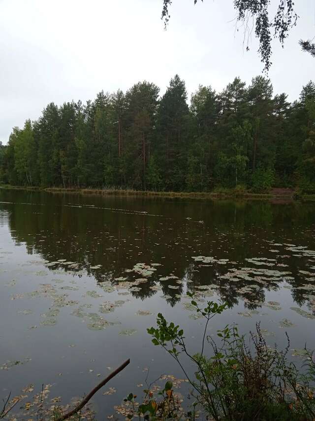 Гостиница Домик Охотника Токсово-163