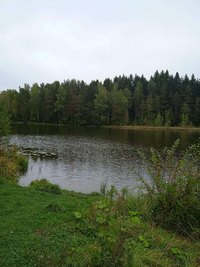 Гостиница Домик Охотника Токсово-86