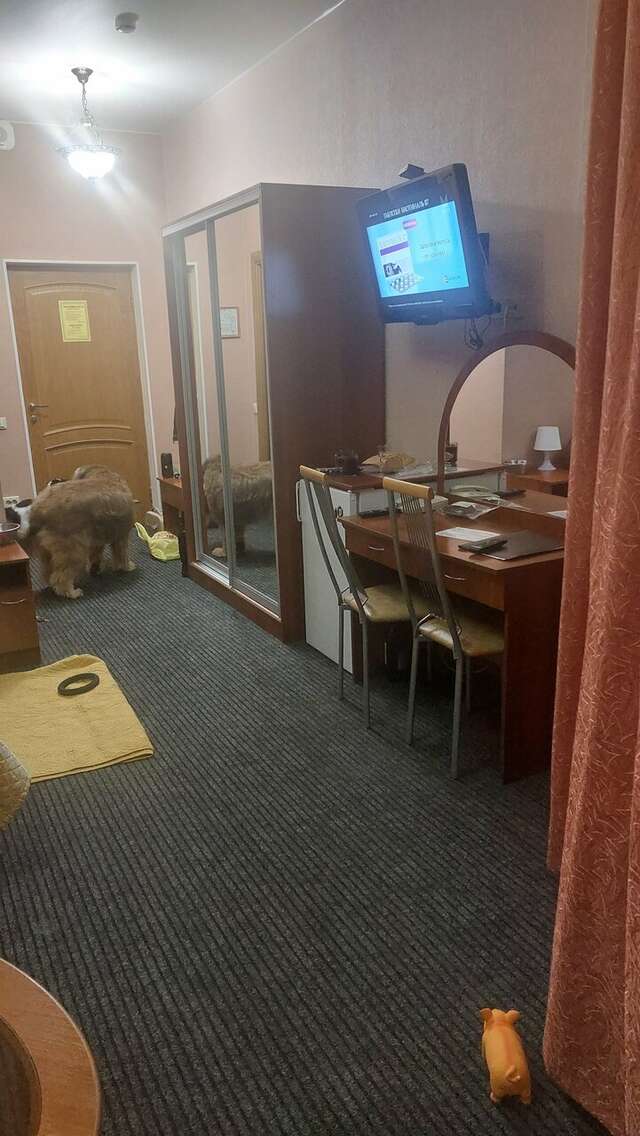 Гостиница Домик Охотника Токсово-162