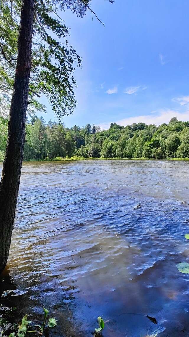 Гостиница Домик Охотника Токсово-115