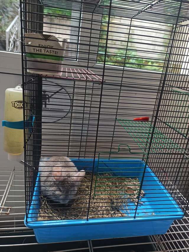 Гостиница Домик Охотника Токсово-72