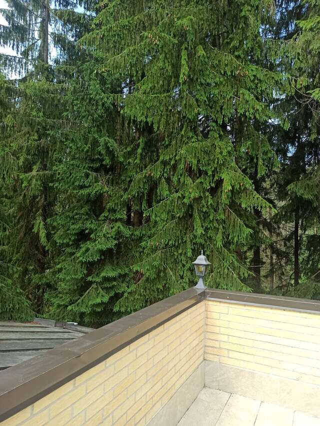 Гостиница Домик Охотника Токсово-40