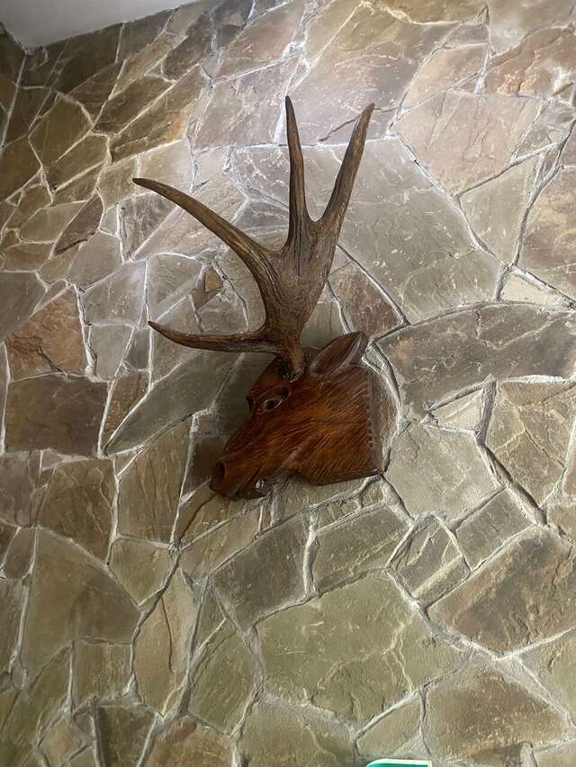 Гостиница Домик Охотника Токсово-243